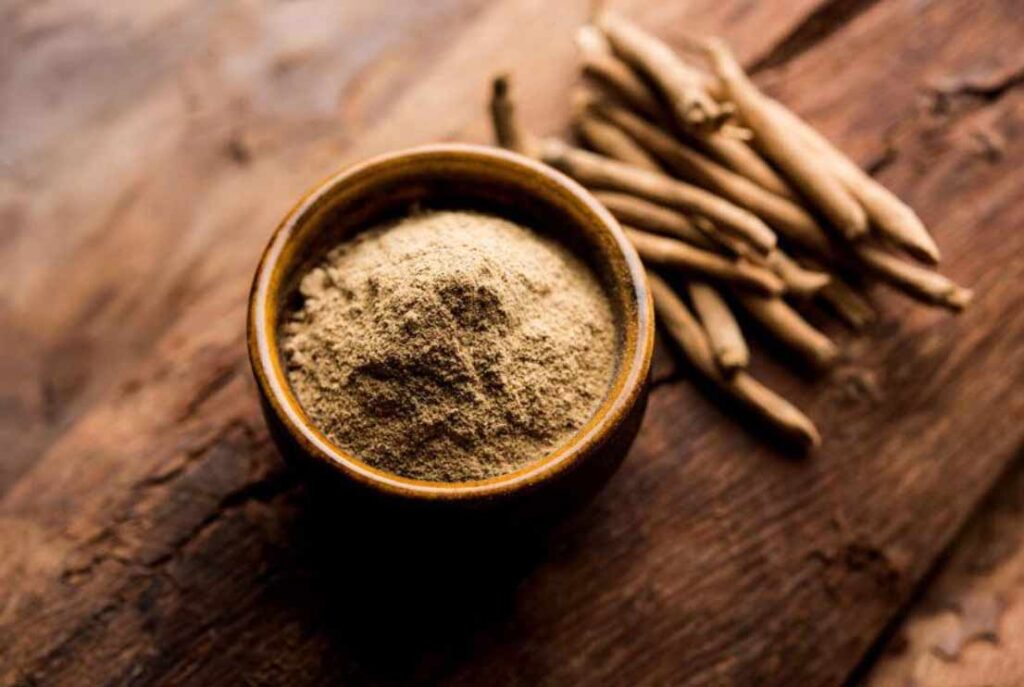 Ashwagandha root and plant used in herbal supplements