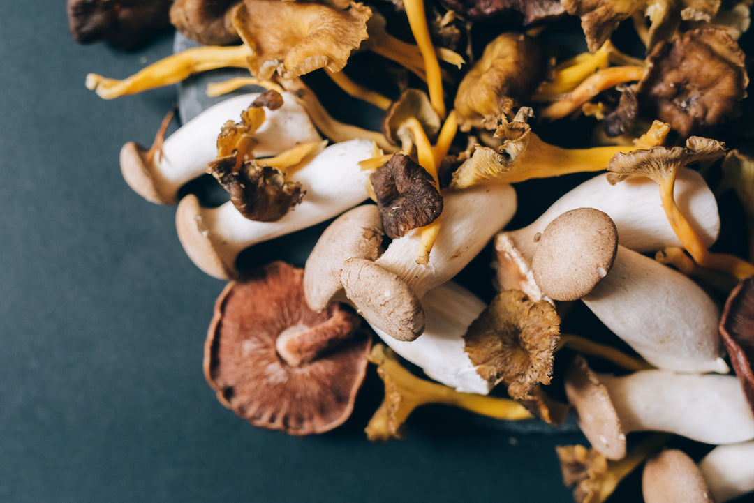 Assorted brown and golden mushrooms on a dark surface