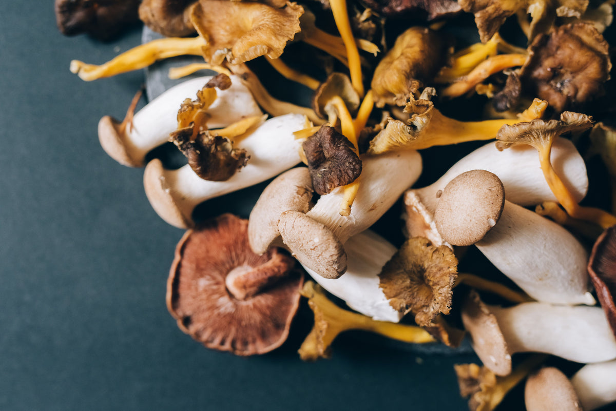 Assorted brown and golden mushrooms on a dark surface