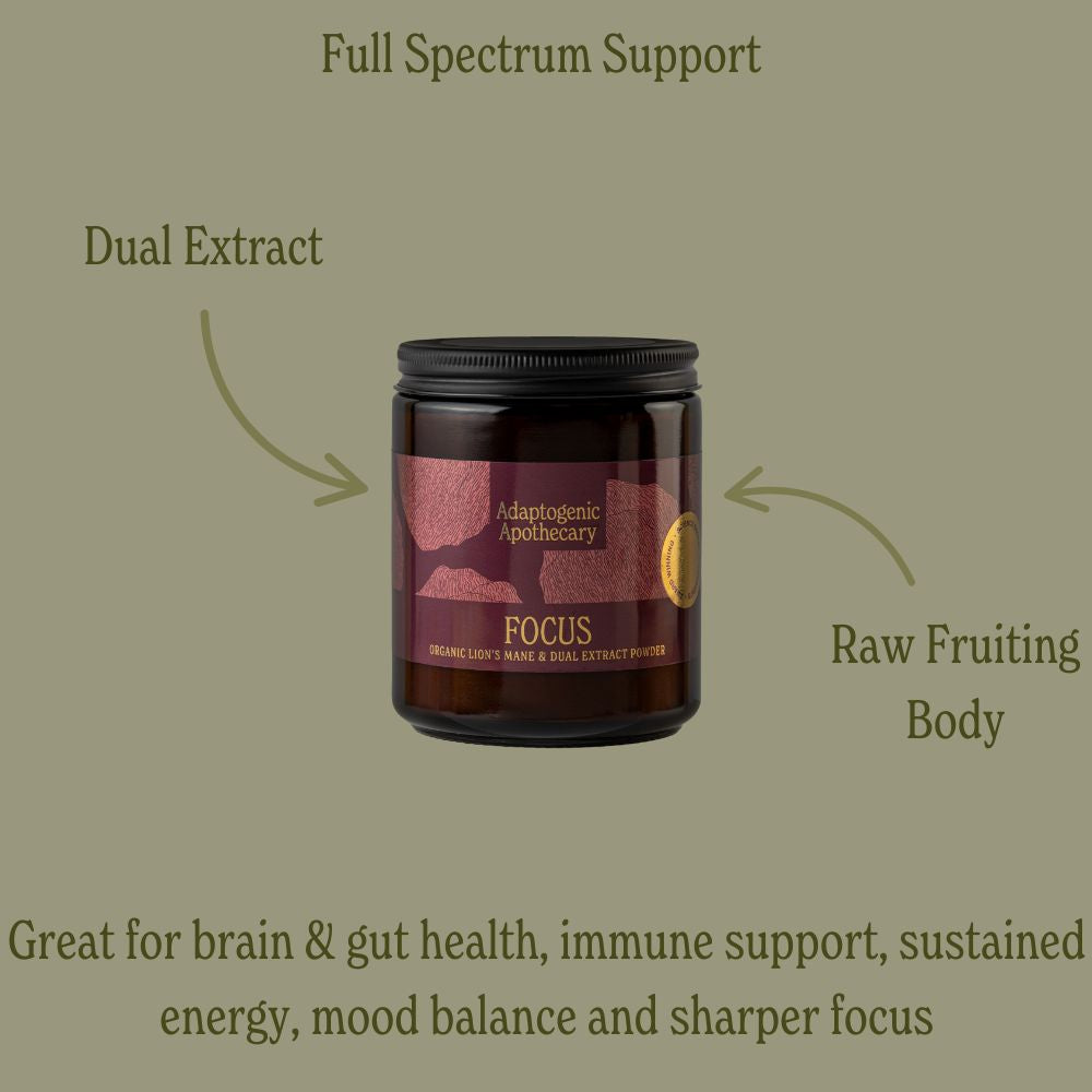 Focus – For Improved Mental Performance, Gut Health, Anxiety, ADHD, Menopause Symptoms