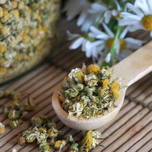 Chamomile (Matricaria Recutita)
