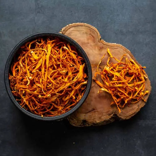 Cordyceps