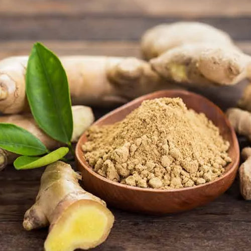 Ginger (Zingiber Officinalis)