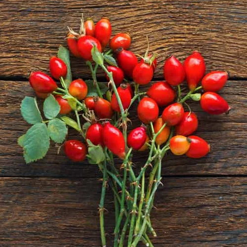 Goji Berry