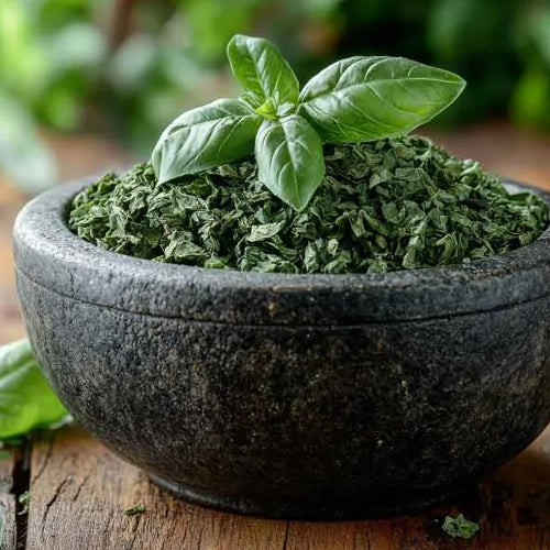 Holy Basil / Tulsi (Ocimum Tenuiflorum)