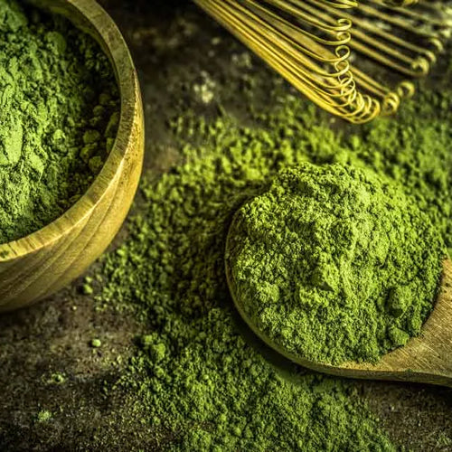 Matcha (Camellia Sinensis)