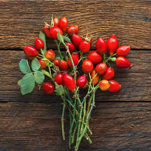 Rosehip