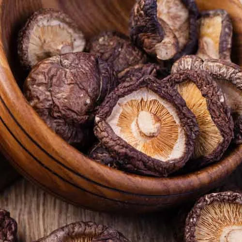 Shiitake Mushroom Extract (Lentinula Edodes)