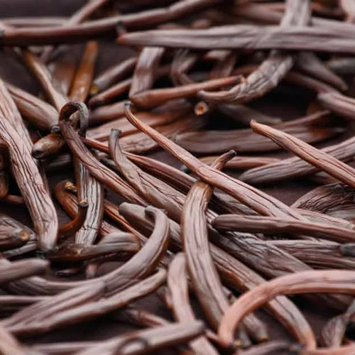 Vanilla (Vanilla Planifolia)