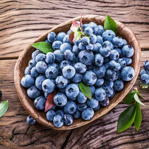 Wild blueberries
