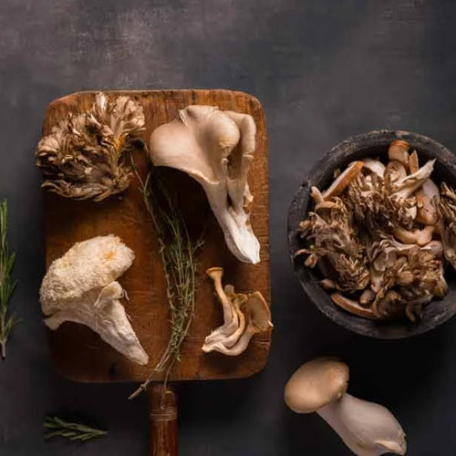Maitake Mushroom