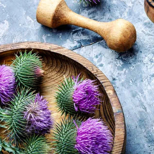 Milk Thistle Powder